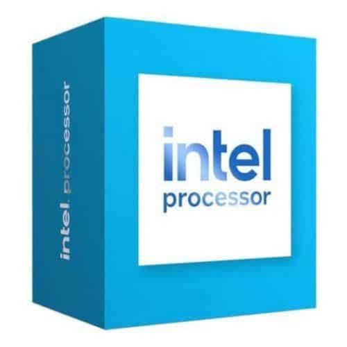 Intel 300