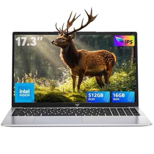 ACEMAGIC Ordenador portatil 17