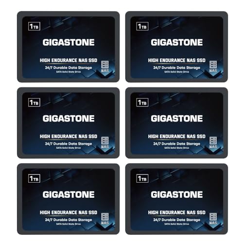 Gigastone NAS SSD 1TB SSD SATA
