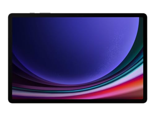 Samsung Galaxy Tab S9 Plus WiFi 12/256GB Gris