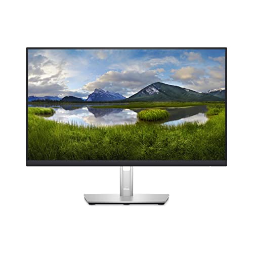 Dell P2423D 24" QHD